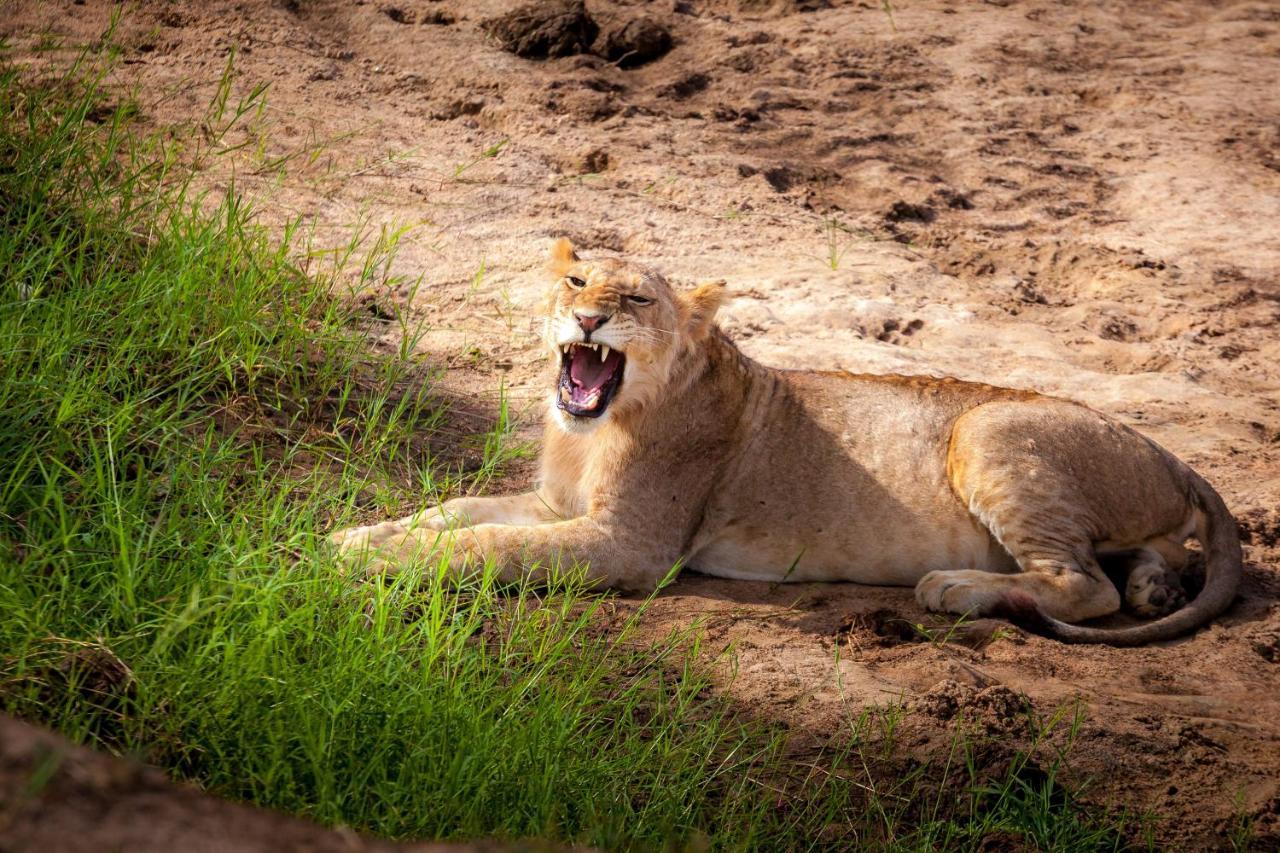 Baobab Tented Camp Kwa Kuchinia Екстер'єр фото