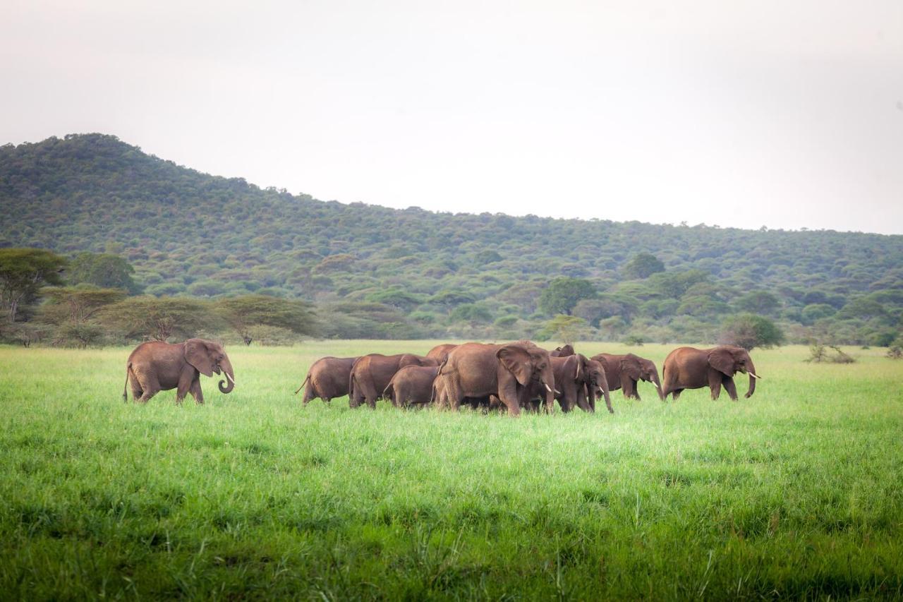 Baobab Tented Camp Kwa Kuchinia Екстер'єр фото