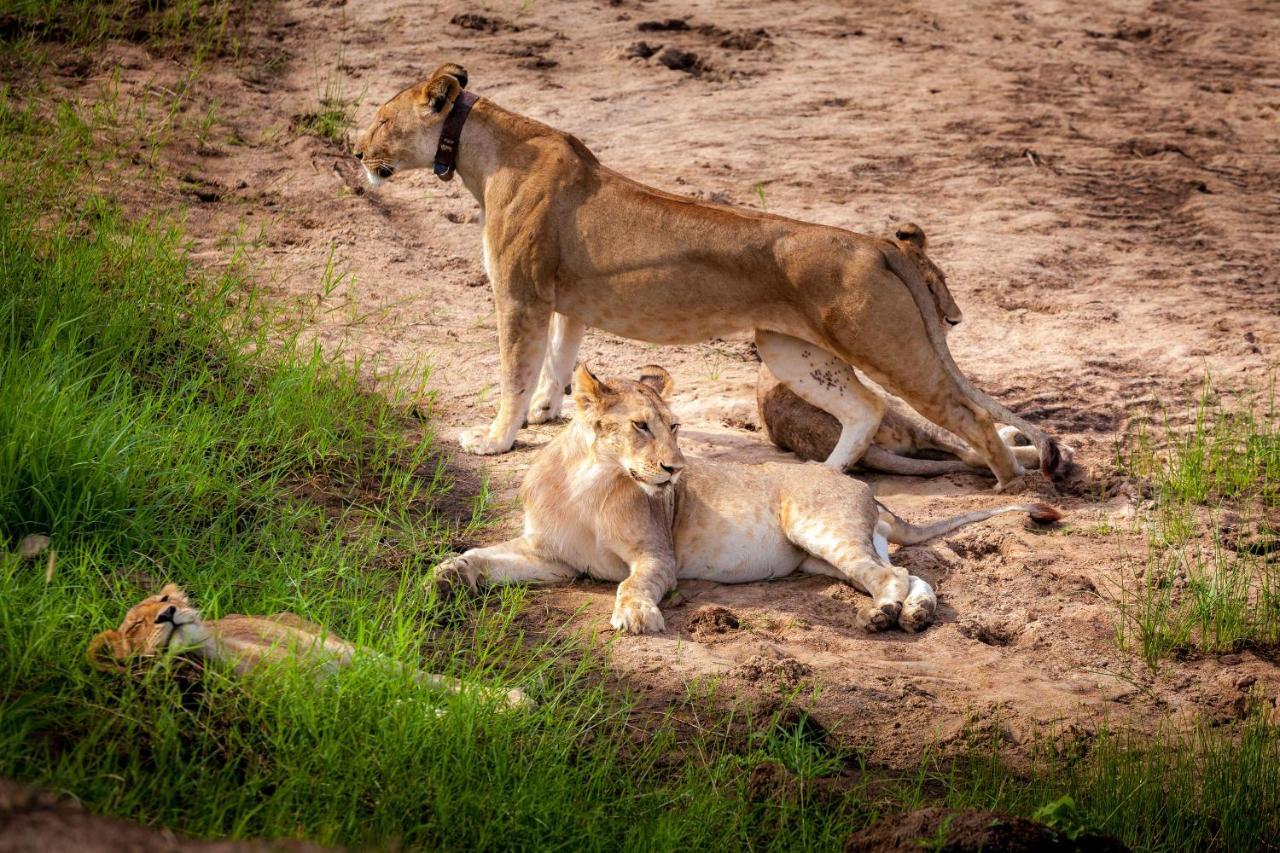 Baobab Tented Camp Kwa Kuchinia Екстер'єр фото