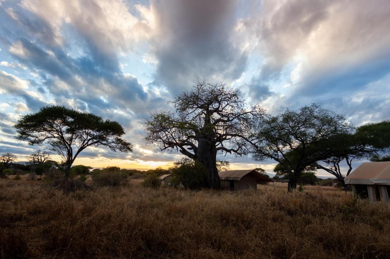 Baobab Tented Camp Kwa Kuchinia Екстер'єр фото
