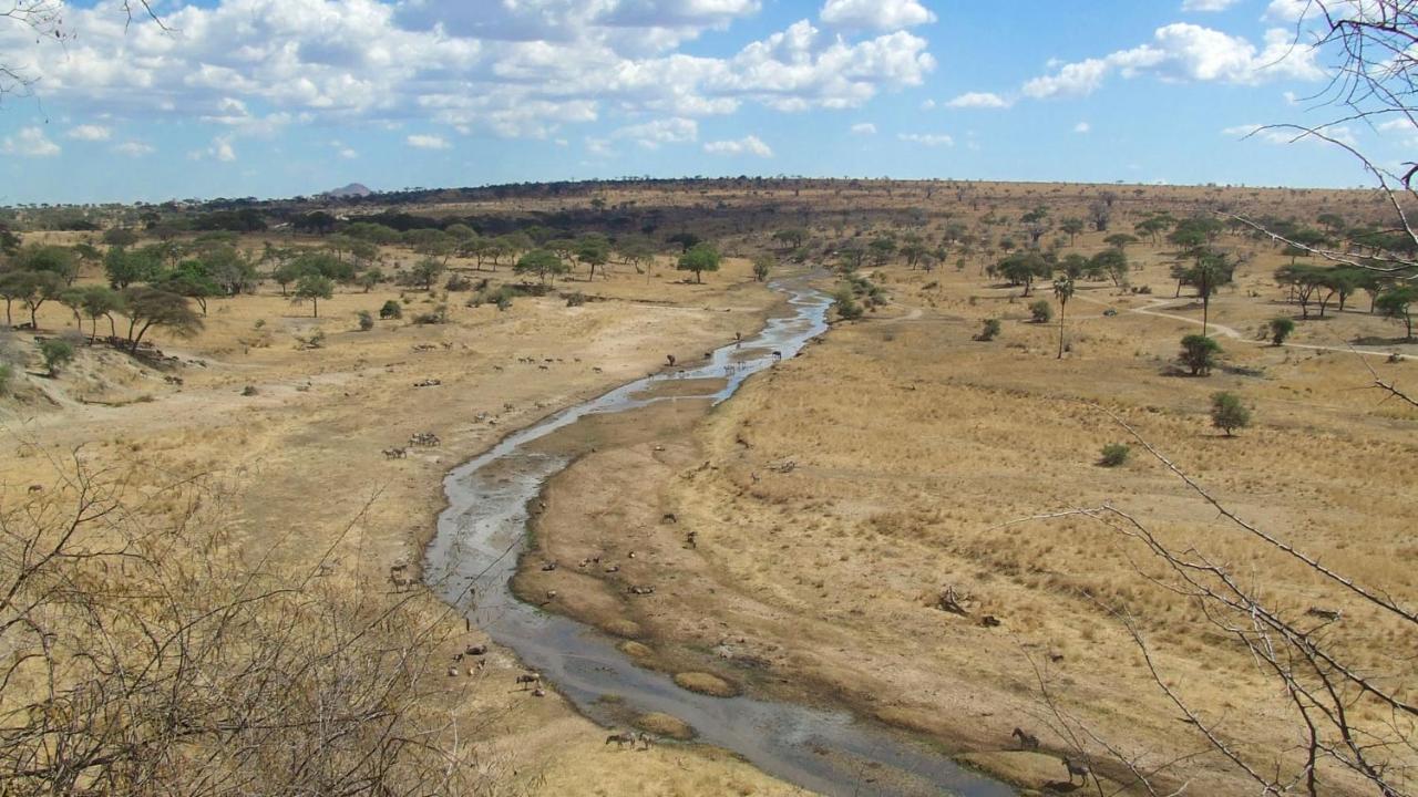 Baobab Tented Camp Kwa Kuchinia Екстер'єр фото